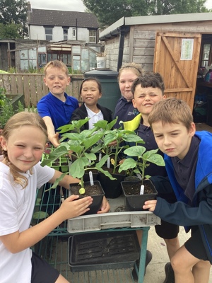 Crook Community Gardens