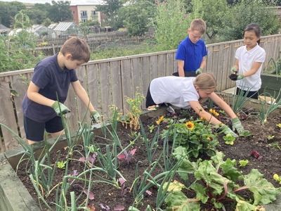 Crook Community Gardens
