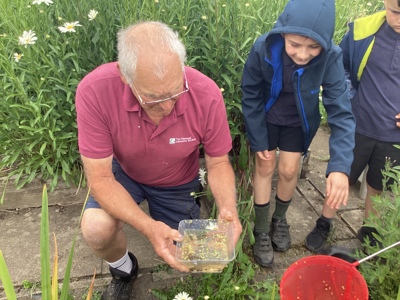 Crook Community Gardens