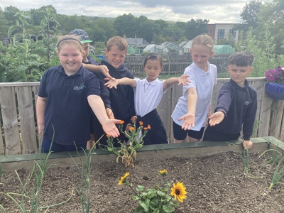 Crook Community Garden