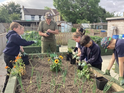 Crook Community Garden