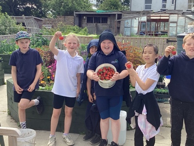 Crook Community Garden