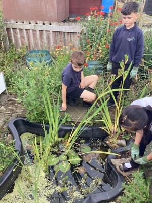 Crook Community Garden