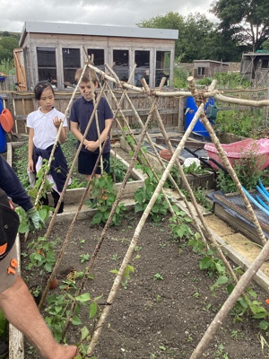 Crook Community Garden