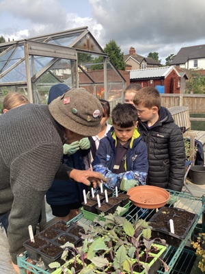 Crook Community Garden 