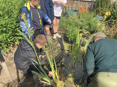 Crook Community Garden