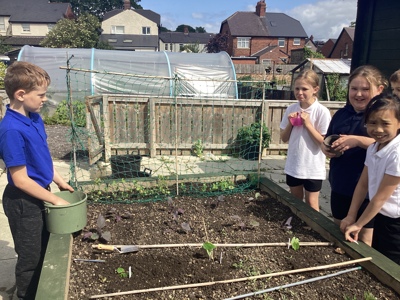 Crook Community Garden